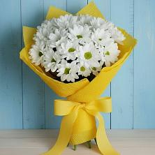 Букет цветов из:  Хризантемы в Муцалауле 