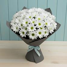 Букет цветов из:  Хризантемы в Муцалауле 