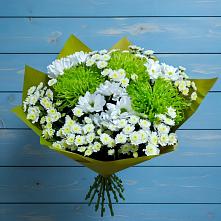 Букет цветов из:  Хризантемы #REPLACE_PRED# Муцалауле 