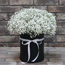 Цветочная композиция из Гипсофила в шляпной коробке в Муцалауле 